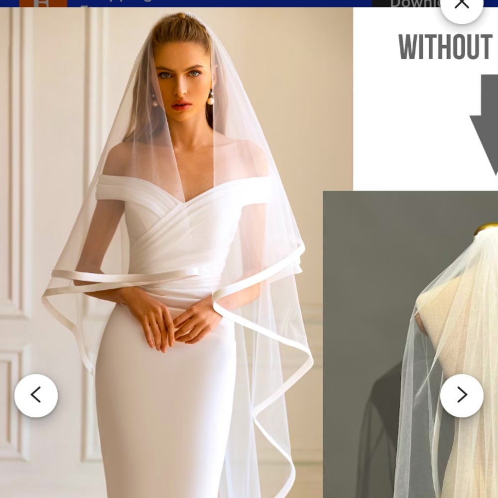 Brand new veil and blusher